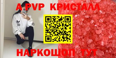 ECSTASY Чебоксары