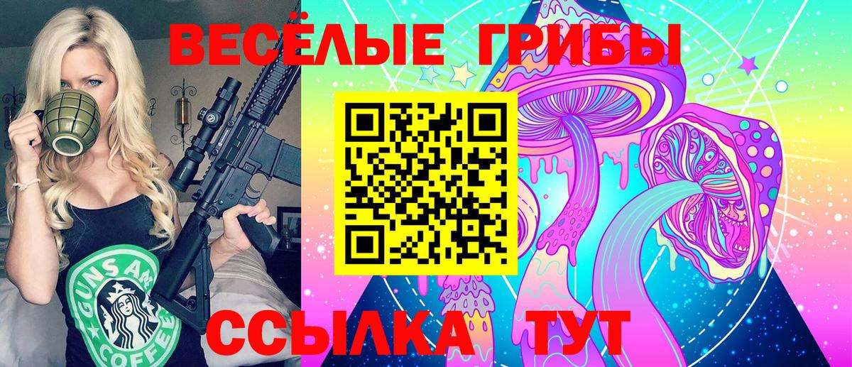 Тара  Псилоцибиновые грибы Cubensis  Вход с VPN  Псилоцибиновые грибы мицелий 