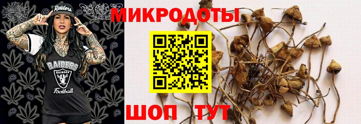 Галлюциногенные грибы прущие грибы Тара