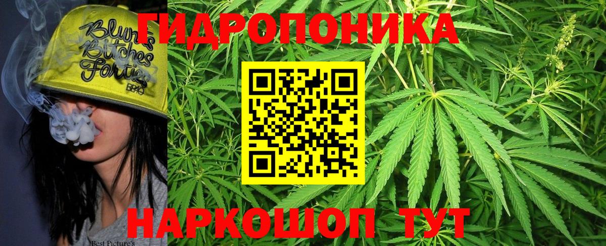 Канабис VHQ  Вход с VPN  Марихуана MAZAR  Тара  Марихуана тримм 